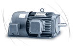 Inverter Duty motor