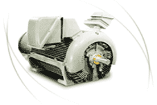 hight Voltage 3 Phase Motor